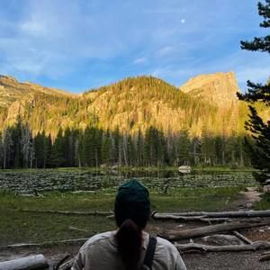 Meet your Posher, Taylor